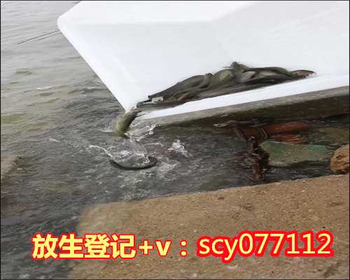 放生鳄鱼的看法，郑州龙湖疑有人放生两只鳄鱼