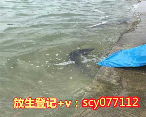 桂林放生鲤鱼好吗,桂林巴西龟可以放生到海里吗,桂林北京放生团体