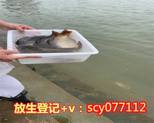 西安梦到买鱼放生,西安北京北海公园可以放生吗,西安成都放生鱼批发