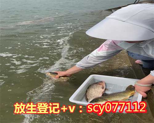 怎么放生最好香港把黄鳝放生到河里去了好吗【香港适合放生的地方】