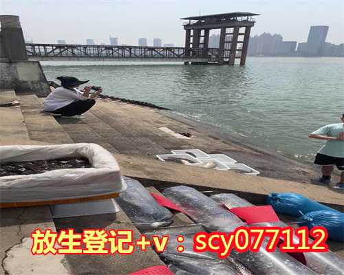 南京哪里放生泥鳅最好，南京鸡鸣寺将于2月23日起恢复对外开放