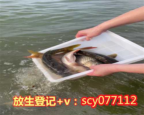 深圳公园放生泥鳅，9月4日深圳周末放蛇之旅