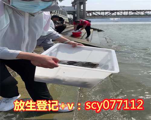 银川经常放生甲鱼,银川最简单有效的放生仪轨,银川广州哪里适合放生的地方