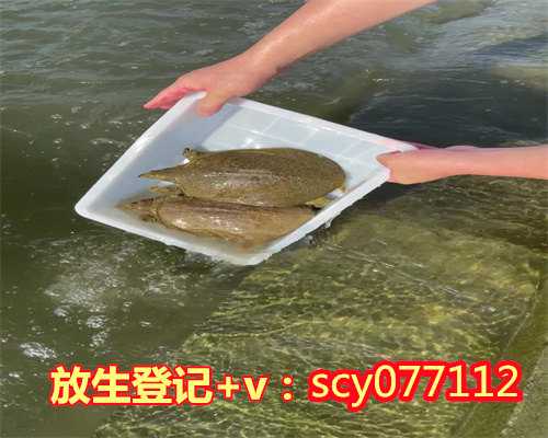 广东何地可以放生牛蛙，广东惠州举办第8届大型放生节改善东江水质环境