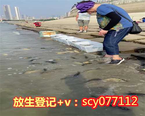 花钱买鱼放生，黑龙江渔民捕获537斤大蝗鱼，好心人花6万买下放生