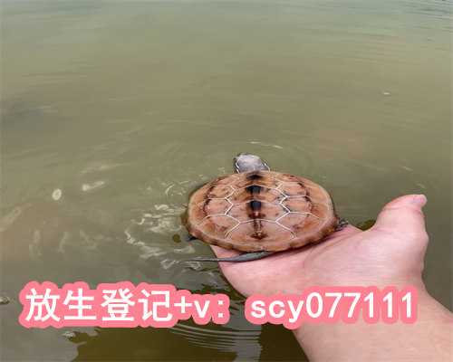 重庆哪个湖可以放生鱼，参加放生活动的好处和坏处